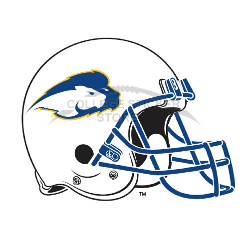 Design Hofstra Pride Iron-on Transfers (Wall Stickers)NO.4561